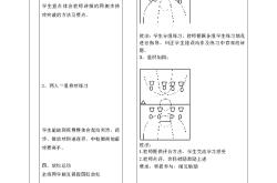 怎么提高篮球突破力