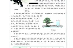 初中八年级体育教材人教版下载