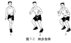 篮球基本功技巧