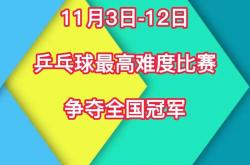 **球拍下的全球盛宴第XX届世界乒乓球锦标赛全景回顾**