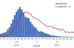 全国各省感染人数