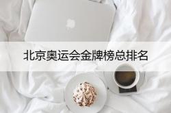 巴西奥运金牌榜排名榜