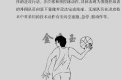 篮球训练师培训机构