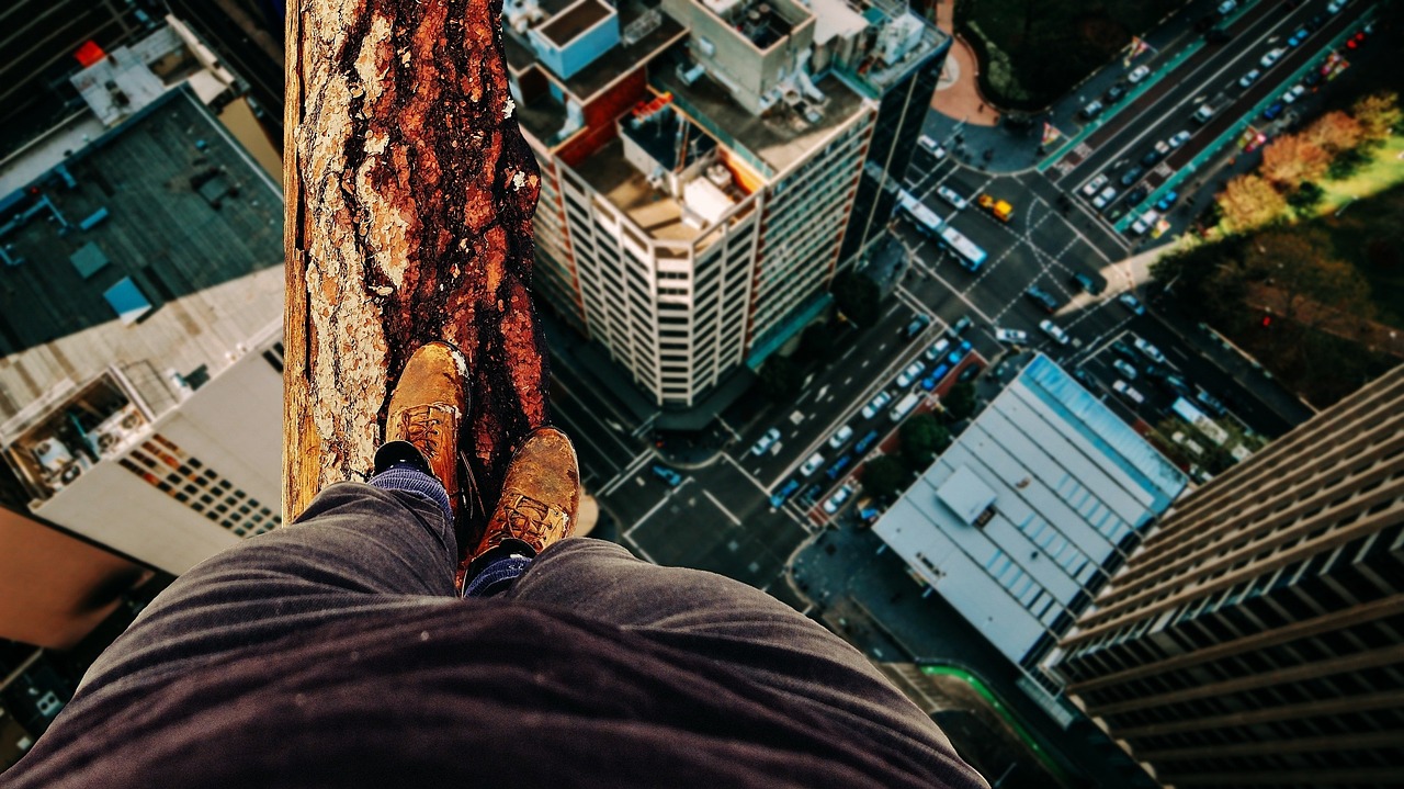 繁忙都市中的养生智慧：寻求生活平衡，品味健康人生