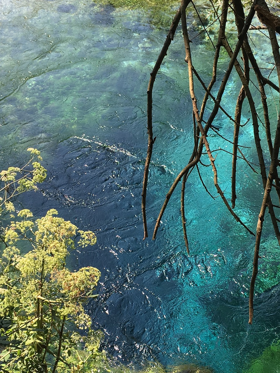 天目山英迪格！￥599起／晚错峰订！玩三大乐园，躺看山野云雾美景！配置超豪华