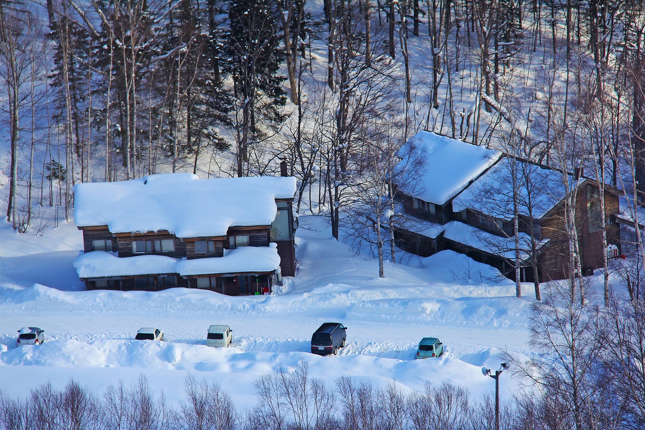 【雪季早鸟】北海道星野TOMAMU度假村，低至800元／晚，塔娃／RISONAR可选，抢订日本顶级亲子度假地！