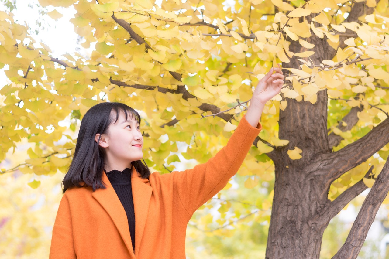 赵露思，一年中的成长与蜕变赵露思日程表